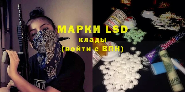 гашик Михайлов