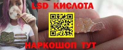 стаф Гай