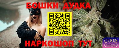 стаф Гай