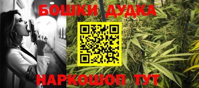 стаф Гай