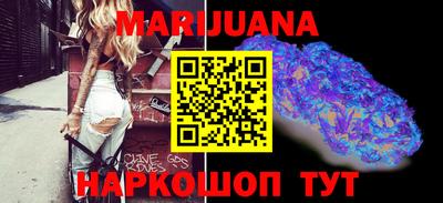 стаф Гай