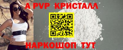 стаф Гай