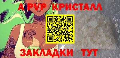стаф Гай