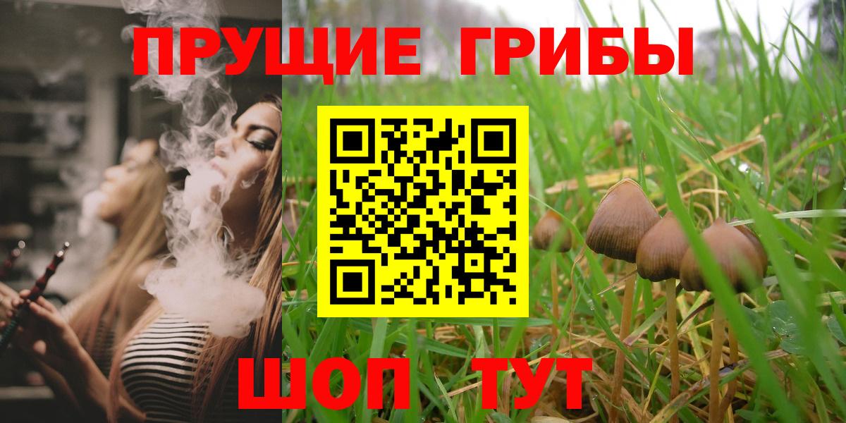Галлюциногенные грибы Psilocybe  Вход с VPN  Красный Сулин 